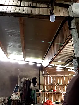 SSexykute3456 online show from October 2025 03:10:02 AM