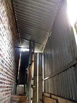 SSexykute3456 online show from November 2025 06:59:01 AM