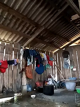 bonnie-00 online show from February 2026 02:19:01 AM