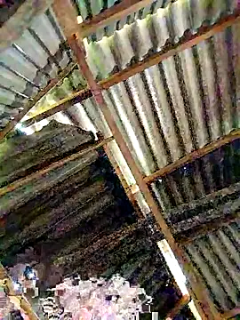 Snapshot of lyuyenkk chatting on November 2025 01:08:01 AM lyuyenkk online show from November 2025 01:08:01 AM