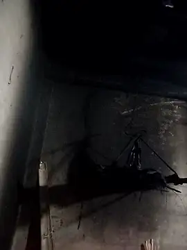 Dung x online show from January 2026 01:02:02 PM