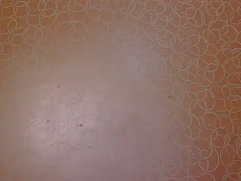 soniya babby online show from November 2025 04:01:01 AM