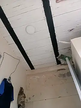 zamir adam online show from October 2025 11:55:02 AM