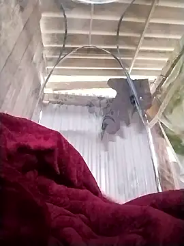 Snapshot of Emmyly_123 chatting on January 2026 03:31:02 AM Emmyly 123 online show from January 2026 03:31:02 AM