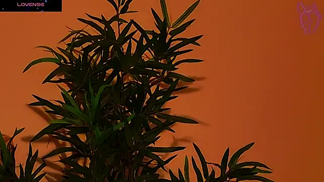 CoraVex online show from September 2025 04:27:02 AM