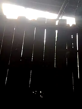 donna-bae online show from October 2025 11:04:02 PM