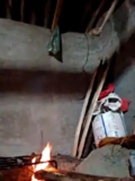 donna-bae online show from November 2025 11:37:01 PM