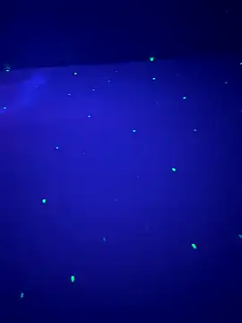 sweetttr online show from September 2025 08:32:01 PM