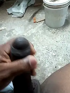 preto3561 online show from March 2026 04:46:01 PM