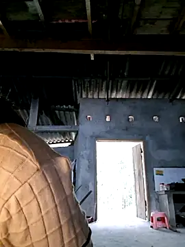 xuxulovezz online show from December 2025 12:18:01 AM