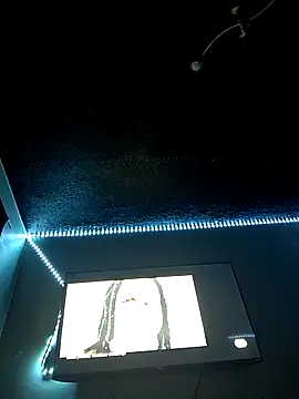 Snapshot of Painstickwes chatting on February 2026 09:52:01 PM Painstickwes online show from February 2026 09:52:01 PM