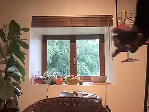 chtentation online show from February 2026 02:03:01 PM