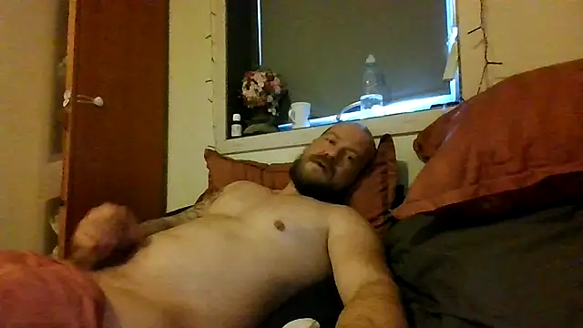 Real viking online show from December 2025 10:53:01 AM