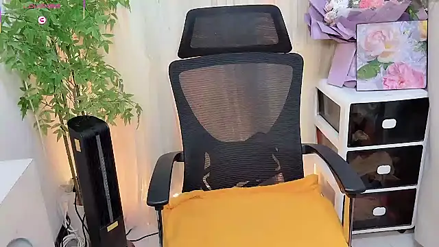 NEWONETO online show from February 2026 12:55:01 PM