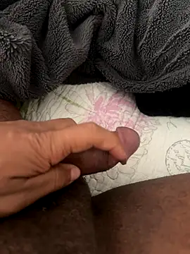 La piada online show from December 2025 11:48:01 AM