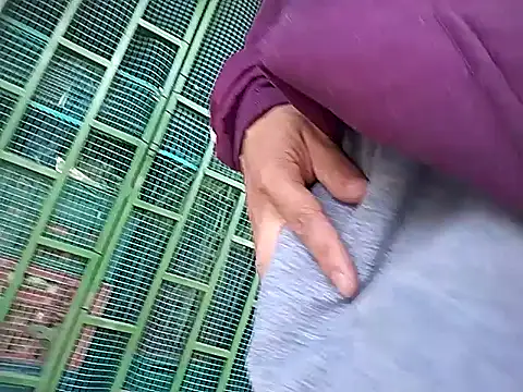 Angel 3-0 online show from November 2025 01:24:01 PM