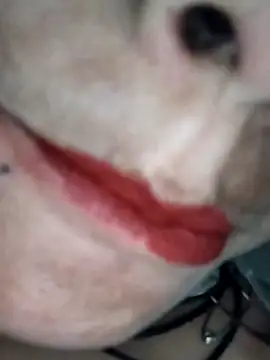 Na shreya online show from February 2026 03:21:02 PM