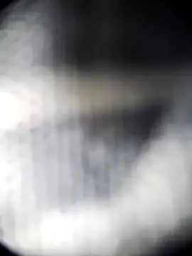 Blanquitakchera online show from December 2025 05:58:02 AM