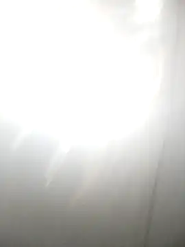 PEEHU-50 online show from February 2026 02:29:02 AM