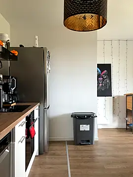 LaPetiteKim online show from November 2025 01:13:01 PM