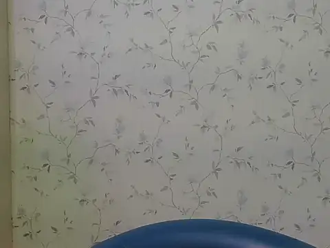 Snapshot of shiny-krisha chatting on November 2025 04:05:01 AM shiny-krisha online show from November 2025 04:05:01 AM