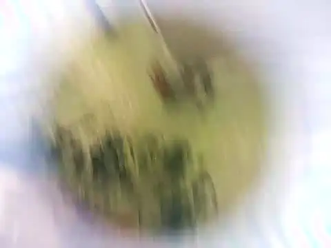 Snapshot of Masha412111 chatting on October 2025 08:19:01 PM Masha412111 online show from October 2025 08:19:01 PM