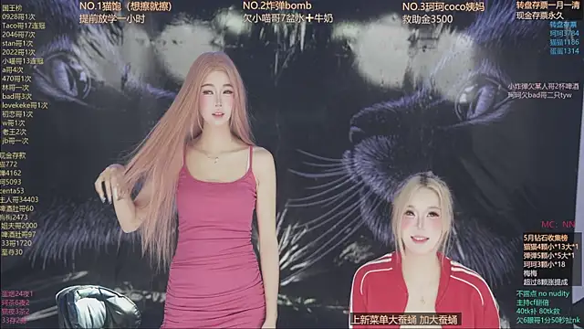 Snapshot of sweetgirls666 chatting on May 2026 11:16:02 AM sweetgirls666 online show from May 2026 11:16:02 AM
