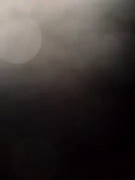 Snapshot of Payarkanasa chatting on November 2025 09:45:01 AM Payarkanasa online show from November 2025 09:45:01 AM