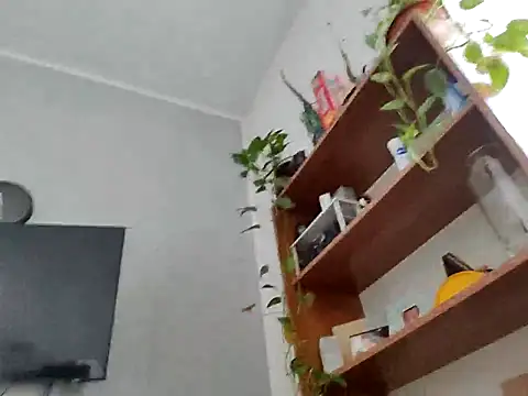 pasajuis online show from November 2025 10:28:01 AM