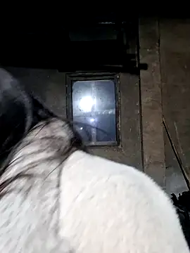 miomio-12 online show from February 2026 12:49:01 PM