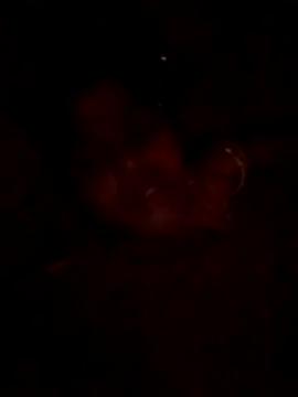 Tg sonam online show from October 2025 04:17:02 PM