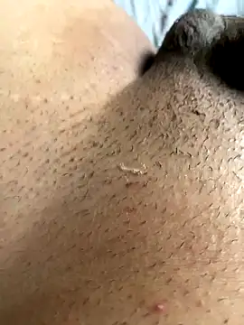 leiteiro2002 online show from November 2025 08:20:02 PM