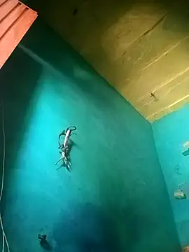 Rt shreya online show from November 2025 06:45:02 AM