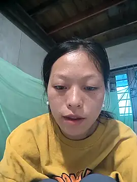 Zerin nova online show from November 2025 07:33:02 AM