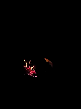 Snapshot of Floridaboy863 chatting on February 2026 03:33:02 AM Floridaboy863 online show from February 2026 03:33:02 AM