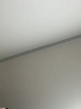 MISA 02 online show from January 2026 11:24:02 AM