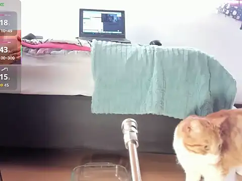   Aragon   online show from November 2025 02:38:01 PM