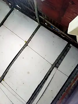 Snapshot of Cherry_pusy99 chatting on October 2025 12:04:01 AM Cherry pusy99 online show from October 2025 12:04:01 AM