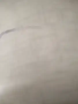 hotcouple79 online show from October 2025 04:55:02 AM