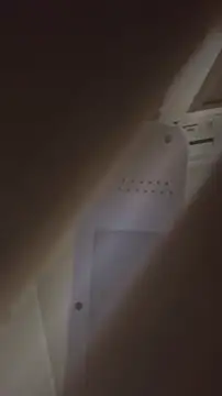 Snapshot of bunnydam chatting on November 2025 02:40:02 PM bunnydam online show from November 2025 02:40:02 PM