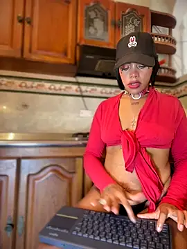 NovaFoxx online show from November 2025 02:04:01 PM