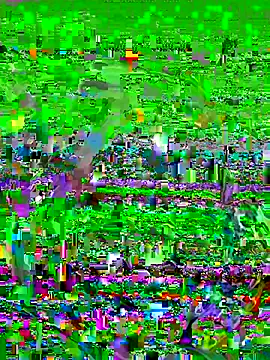 Snapshot of FaixaRosa11 chatting on October 2025 11:16:01 PM FaixaRosa11 online show from October 2025 11:16:01 PM