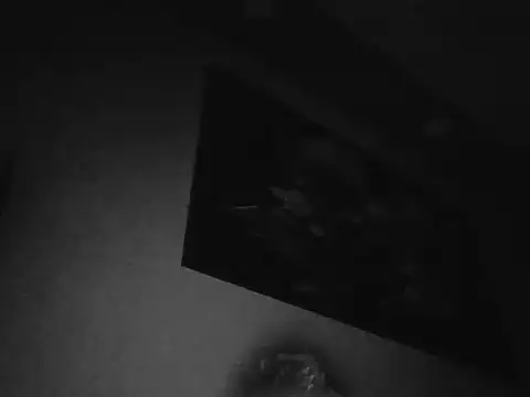 cute erkek34 online show from January 2026 12:58:01 AM