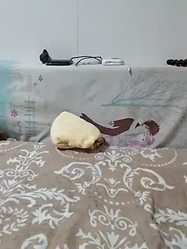 Snapshot of caige8888 chatting on November 2025 11:05:02 AM caige8888 online show from November 2025 11:05:02 AM