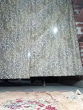 Rajni chauhan online show from December 2025 04:14:01 PM