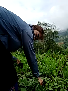 omai-ngot online show from October 2025 01:22:01 AM