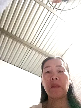 Snapshot of tabby-cat11 chatting on November 2025 01:51:02 AM tabby-cat11 online show from November 2025 01:51:02 AM