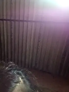 M-MAYA online show from December 2025 05:41:02 PM