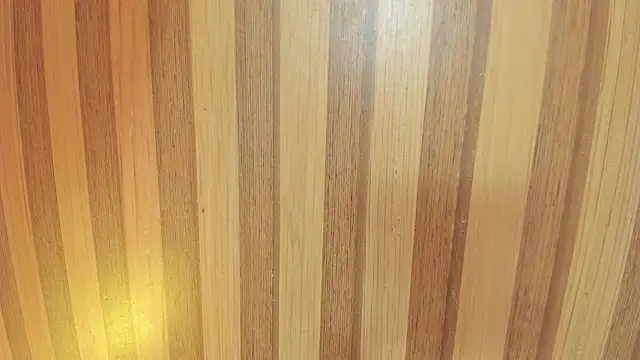 mia  blaze   online show from February 2026 03:00:02 AM