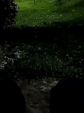 Snapshot of roludao_fun chatting on November 2025 10:42:02 PM roludao fun online show from November 2025 10:42:02 PM